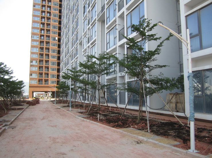 Residential building construction in the park